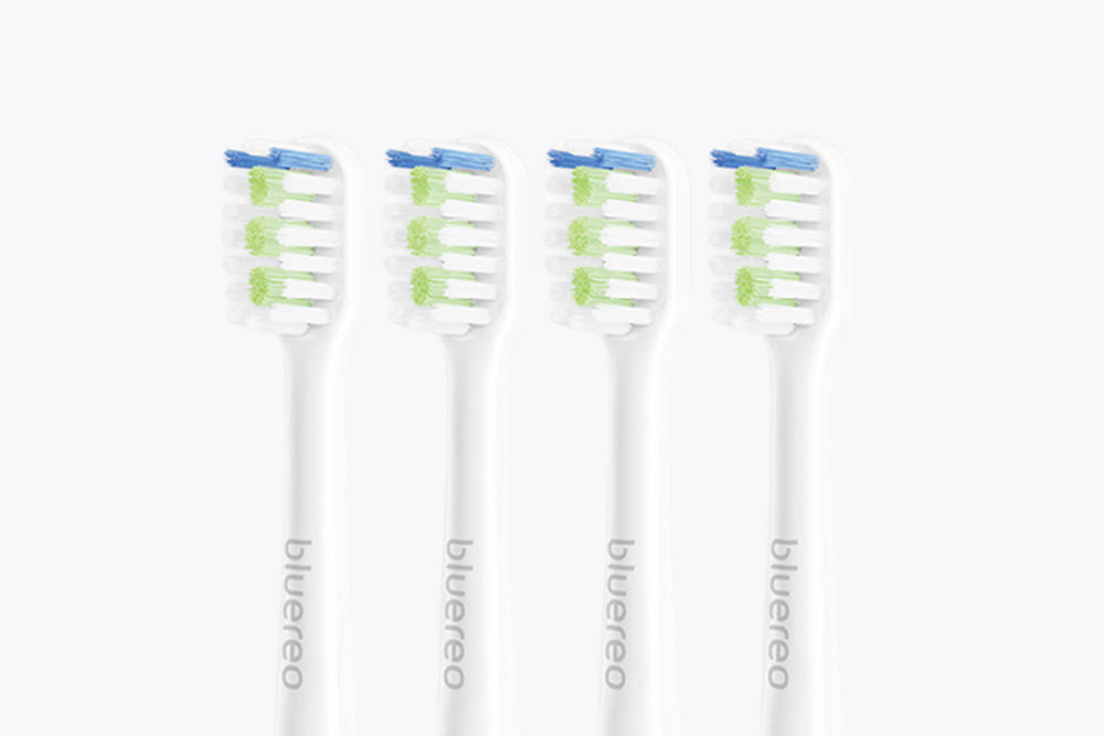 B200 Series Brush Head