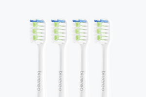 B200 Series Brush Head