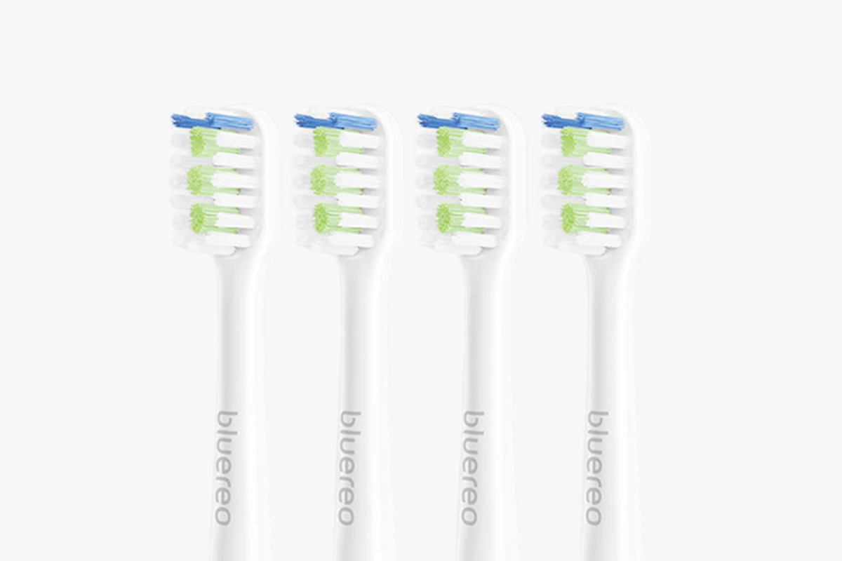 B200 Series Brush Head